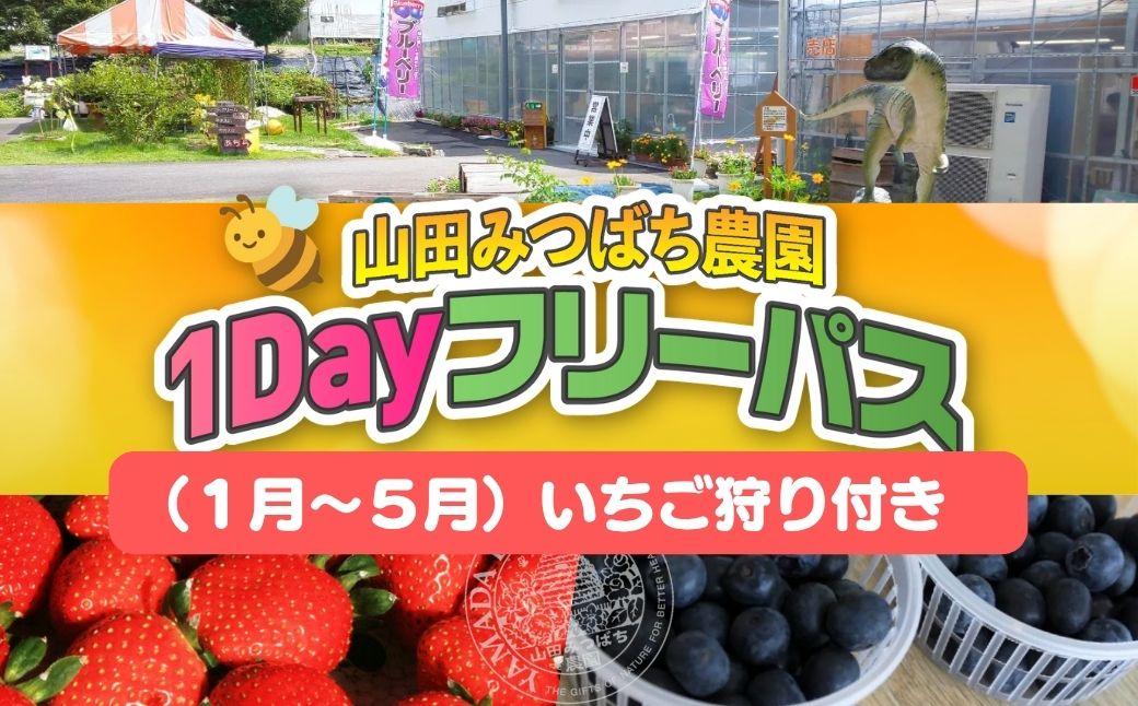 ［山田みつばち農園］1Dayフリーパス（1月～5月）いちご狩り付き 049-a002