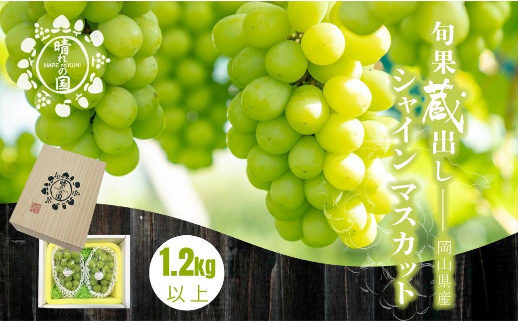 【先行予約 冬季 2026年12月上旬～2027年1月発送】旬果蔵出し 岡山県産シャインマスカット 1.2kg以上（2～3房）【021-a022】 1.2kg以上（2～3房）