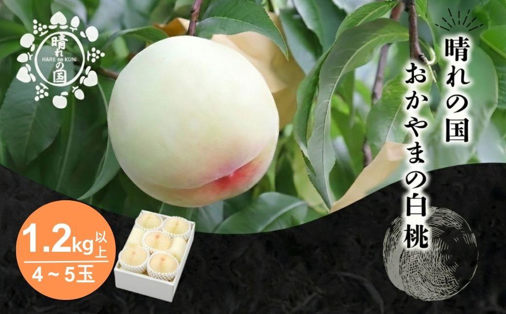 【先行予約】晴れの国おかやま 白桃1.2kg以上（4～5玉）【８月中旬～９月上旬発送】【021-a026】 1.2kg以上(4～5玉)