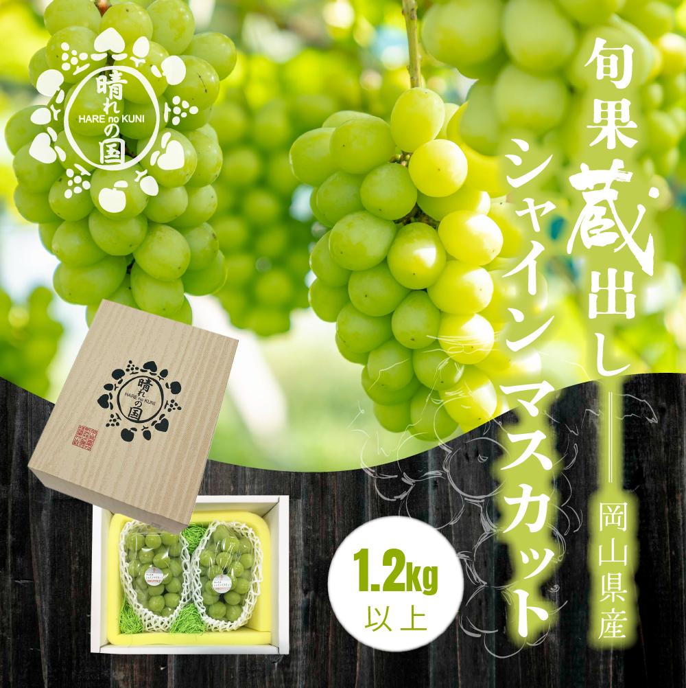 【先行予約　2025年12月上旬～2026年1月発送】旬果蔵出し　岡山県産シャインマスカット 1.2kg以上（2～3房）【021-a022】