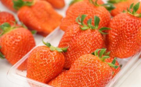 岡山県 勝央町産 いちご かおり野 約1.2kg (約300g×4パック) ＜1月上旬から2月下旬発送＞ _A35