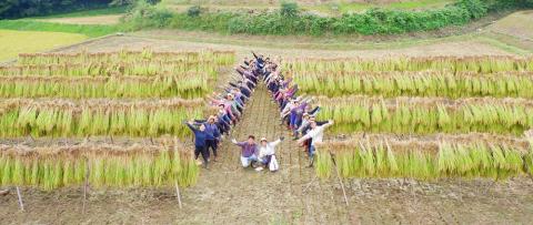 紫黒米 200g ＆ 一等米 ミルキークイーン 白米 5kg セット _S81