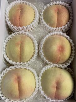 光田さん 自慢の桃 白鳳 2kg (5～6玉) ＜7月10日から25日頃発送＞ _S53