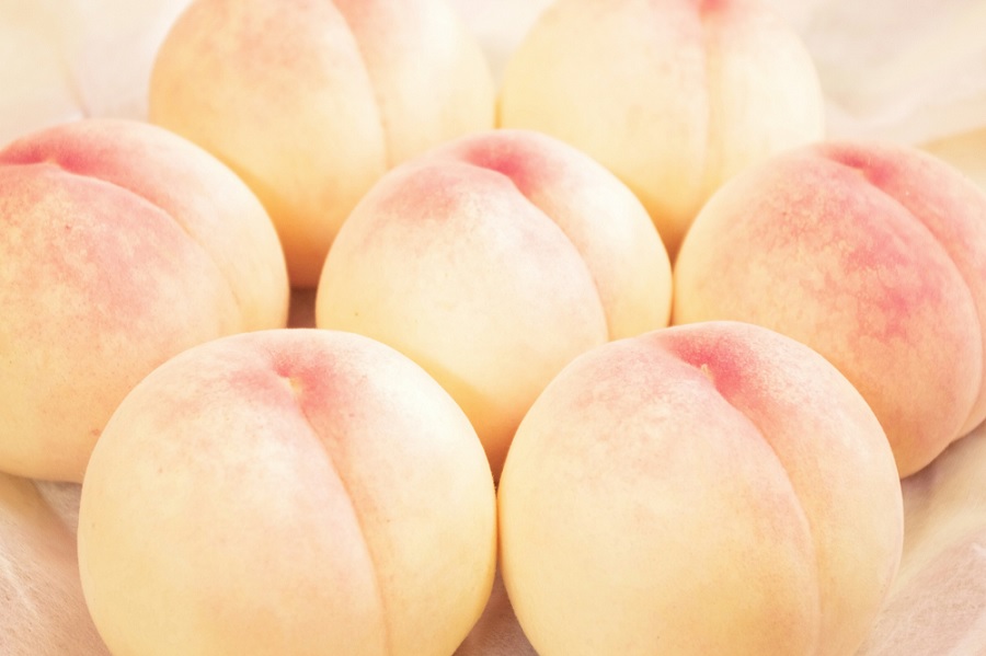 樹熟し 白桃 2kg 糖度12度以上 ＜7月中旬頃から9月中旬頃発送＞ _S89