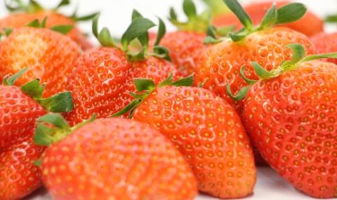 岡山県 勝央町産 いちご かおり野 約1.2kg (約300g×4パック) ＜1月上旬から2月下旬発送＞ _A35