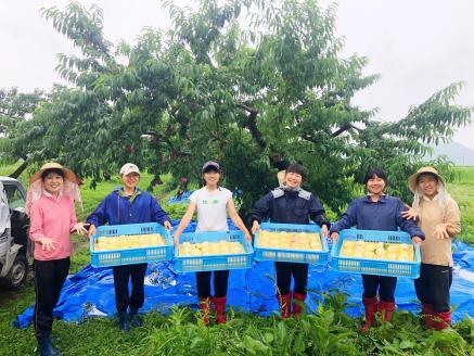 樹熟し 白桃 2kg 糖度15度以上 【極甘】 ＜7月下旬頃から9月中旬頃発送＞ _S117