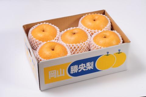 岡山県 勝央町産 梨 あたご梨 4kg箱 (4～5玉) ＜12月上旬発送＞ _A21