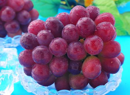 岡山県産 ぶどう マスカットビオレ 1.3kg以上 ＜10月中旬から11月中旬発送＞ _A19 1.3kg以上