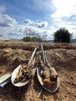 作州 自然薯 「白の麗」 ＜12月から1月発送＞ _S106