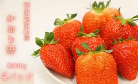 岡山県 勝央町産 いちご かおり野 約1.2kg (約300g×4パック) ＜1月上旬から2月下旬発送＞ _A35