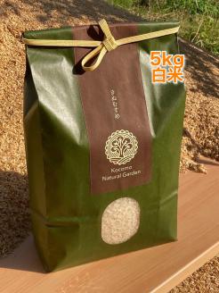 Kocomo’s きぬむすめ 白米 5kg _S127 白米 5kg×1袋