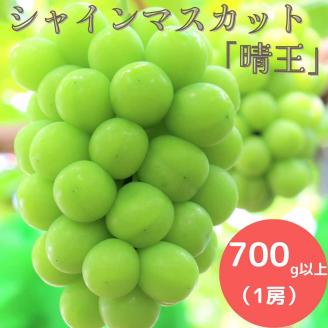 岡山県産 ぶどう シャインマスカット 700g以上 (1房) ＜9月中旬から10月中旬発送＞ _A5 700g以上 （1房）