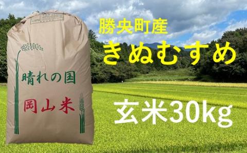 令和7年産 食味コンテスト受賞者の作る お米シリーズ 「 きぬむすめ 玄米 30kg 」 ＜11月から3月発送＞ _S102 玄米＿新米 30kg×1袋