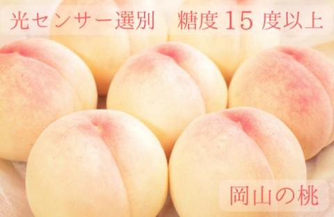 樹熟し 白桃 2kg 糖度15度以上 【極甘】 ＜7月下旬頃から9月中旬頃発送＞ _S117