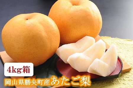 岡山県 勝央町産 梨 あたご梨 4kg箱 (4～5玉) ＜12月上旬発送＞ _A21