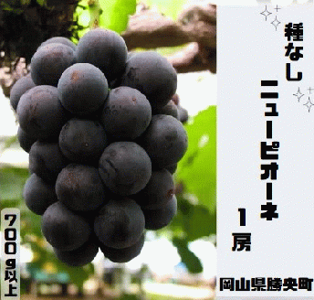 岡山県 勝央町産 ぶどう ニューピオーネ 700g以上 (1房) ＜7月中旬から7月下旬発送＞ _A4
