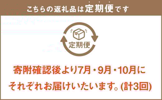 【3回定期便】岡山県産 フルーツ定期便コース （白桃・ 晴王・あたご梨） 計約6.9kg 【2025年7月上旬発送開始】 白桃 桃 もも シャインマスカット 晴王 ぶどう 葡萄 マスカット あたご 梨 なし フルーツ 果物 くだもの 岡山