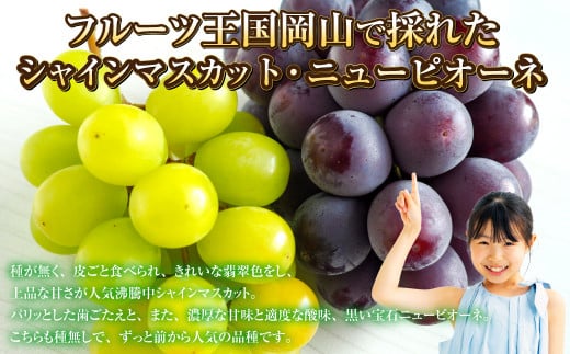 岡山県産 シャインマスカット晴王 ＆ ニューピオーネ 約500g×各1房 計1kg（2房） 【2025年8月上旬～10月上旬迄発送予定】 岡山 大粒 マスカット 果物 くだもの フルーツ ぶどう ブドウ 葡萄 種無し 種なし
