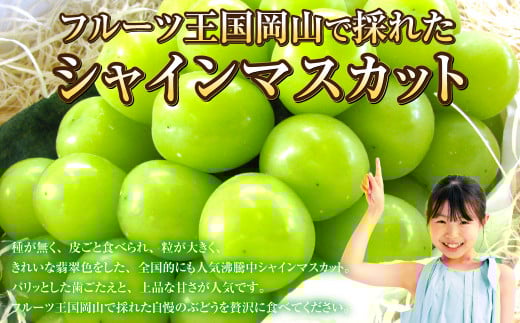 岡山県産 シャインマスカット 晴王 1房 約600g 【2025年8月上旬～10月上旬迄発送予定】 岡山 大粒 たねなし マスカット 果物 くだもの フルーツ ぶどう ブドウ 葡萄 種無し 種なし
