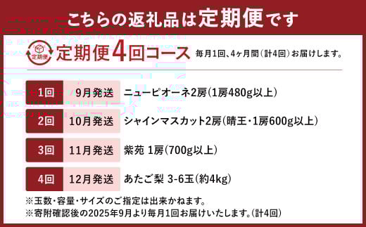 【4回定期便】 ニューピオーネ 晴王 紫苑 あたご梨 【2025年9月上旬より順次発送開始】 梨 葡萄 ブドウ ぶどう フルーツ 果物 ギフト 国産 岡山県産