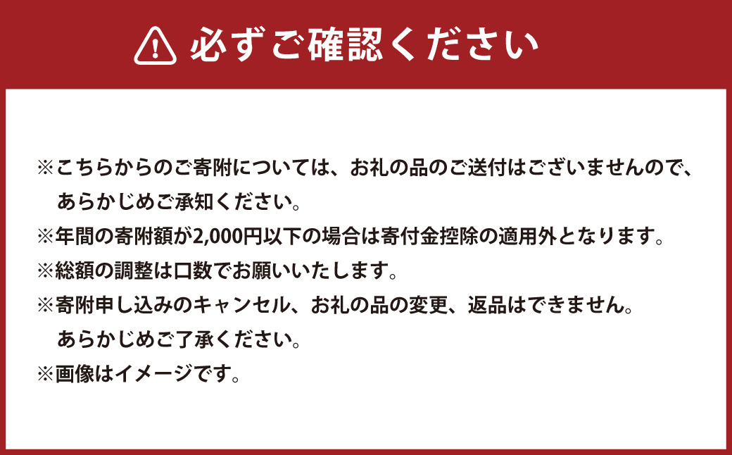 【返礼品なし】岡山県奈義町の取り組みを全国へ！奈義町で行う少子化対策『奈義町の子育て・教育支援』を応援してくださる皆さまからの温かいご支援をよろしくお願いいたします。 寄附のみ 岡山県 奈義町 寄附 応援