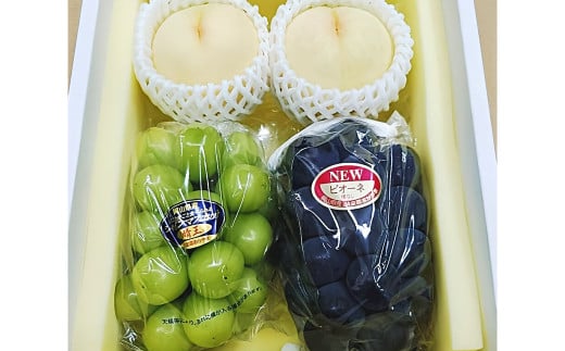 詰合／ 白桃 2玉（1玉220g以上）・ ニューピオーネ 1房（480g以上）・ シャインマスカット 1房（ 晴王 ・480g以上） 合計約1.2kg以上 化粧箱入り 【2026年7月下旬～8月上旬迄発送予定】 桃 もも 葡萄 ブドウ ぶどう フルーツ 果物 ギフト 国産 岡山県産