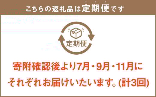 【3回定期便】岡山県産 フルーツ定期便コース （白桃・ 晴王・あたご梨） 計約6.9kg 【2026年7月上旬発送開始】 白桃 桃 もも シャインマスカット 晴王 ぶどう 葡萄 マスカット あたご 梨 なし フルーツ 果物 くだもの 岡山