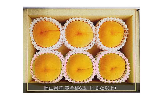 黄金桃 6玉（合計1.6kg以上） 化粧箱入り 【2025年8月下旬～9月上旬迄発送予定】 黄金 モモ もも 桃 フルーツ 果物 国産
