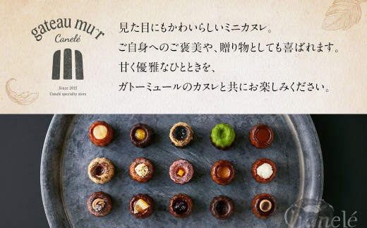 ガトーミュール ミニカヌレ 19個入 （定番10種＋季節のカヌレ2種 計19個）スイーツ お菓子 おやつ ミニ カヌレ 洋菓子 ギフト バニーユ ショコラ カフェ 黒ごま 黒蜜きな粉 抹茶 黒糖 くるみ バナーヌ キャラメルサレ ピスタチオ 淡雪 いちご モンブラン 冷凍