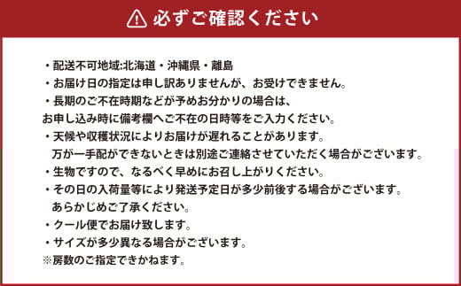 岡山県産 ニューピオーネ 約1.5kg（3房～6房） 【2026年6月下旬～7月下旬発送予定】 ピオーネ ぶどう 葡萄 ブドウ 種なし