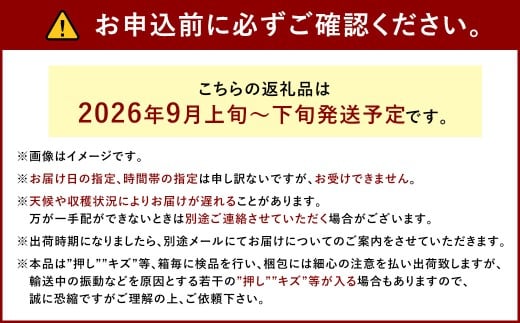 ぶどう 2026年 先行予約 瀬戸ジャイアンツ 3房 合計2kg以上 ブドウ 葡萄 岡山県産 国産 フルーツ 果物 ギフト 河本農園 【2026年9月上旬～9月下旬発送予定】