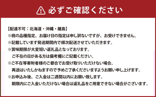 岡山県産 旬の白桃 6玉 （計1.6kg以上）【2026年7月上旬～8月上旬迄発送予定】 化粧箱入り 果物 くだもの フルーツ 桃 もも モモ 白桃 旬 岡山 おかやま 国産 冷蔵
