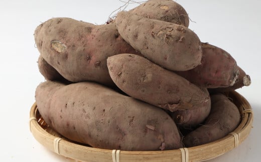 特選 作州横仙蜜芋 土付き 紅はるか 約1.8kg以上 【2025年7月上旬迄発送予定】 蜜芋 蜜いも 芋 いも サツマイモ さつま芋 薩摩芋 さつまいも 国産