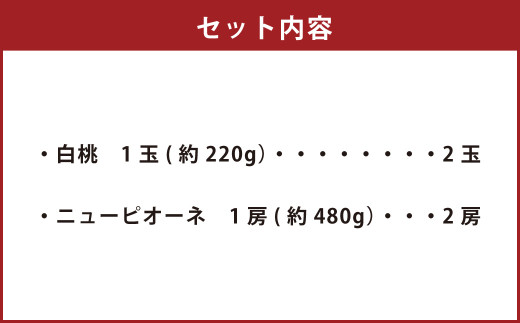 詰合 白桃 2玉 （1玉220g以上）・ニューピオーネ 2房 （1房480g以上） 化粧箱入り 【2026年7月下旬～8月上旬迄発送予定】 果物 くだもの フルーツ 桃 もも モモ ぶどう ブドウ 葡萄 詰合せ 詰め合わせ 岡山 おかやま 国産 冷蔵