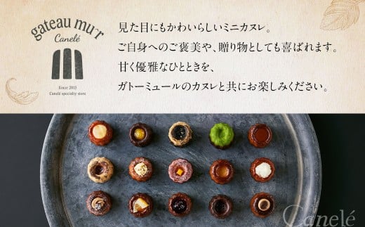 ガトーミュール サマー アイスカヌレ 19個入 【2026年5月下旬～8月上旬迄発送予定】スイーツ お菓子 おやつ ミニ カヌレ 洋菓子 ギフト ショコラオランジュ 夏いちご マンゴー 塩キャラメル バニーユ ピーチパッション 抹茶 ピニャコラーダ バナーヌ グアテマラ カシス シトロン ミラベル 冷凍