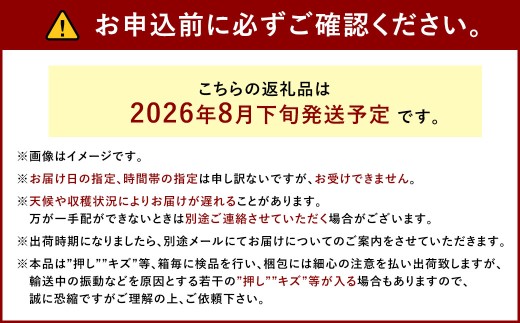 ぶどう 2026年 先行予約 ニュー ピオーネ 2房 合計1.2kg以上 ブドウ 葡萄 岡山県産 国産 フルーツ 果物 ギフト 河本農園 【2026年8月下旬発送予定】