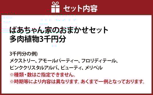 ばあちゃん家のおまかせセット 3千円分