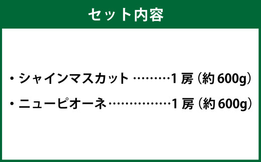 岡山県産 シャインマスカット 晴王・ニューピオーネ 3Lサイズ 計約1.2kg 詰合せ 【2026年6月下旬～7月下旬発送予定】 各1房 マスカット ピオーネ ぶどう 葡萄 ブドウ 種なし セット