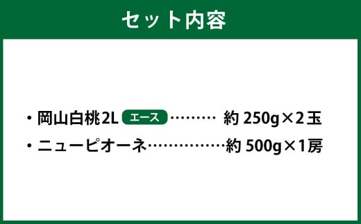 岡山県産 岡山白桃 エース 2Lサイズ 約250g×2玉・ニューピオーネ 約500g×1房 詰合せ 【2026年7月上旬～8月下旬発送予定】 白桃 桃 もも モモ ピオーネ ぶどう 葡萄 ブドウ セット
