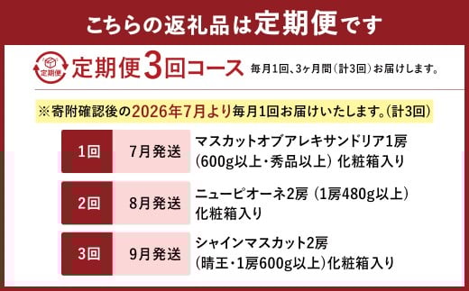 【3回定期便】 マスカットオブアレキサンドリア ニューピオーネ 晴王 【2026年7月上旬より順次発送開始】 葡萄 ブドウ ぶどう フルーツ 果物 ギフト 国産 岡山県産