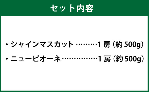 岡山県産 シャインマスカット 晴王・ニューピオーネ 2Lサイズ 計約1kg 詰合せ 【2026年6月下旬～7月下旬発送予定】 各1房 マスカット ピオーネ ぶどう 葡萄 ブドウ 種なし セット