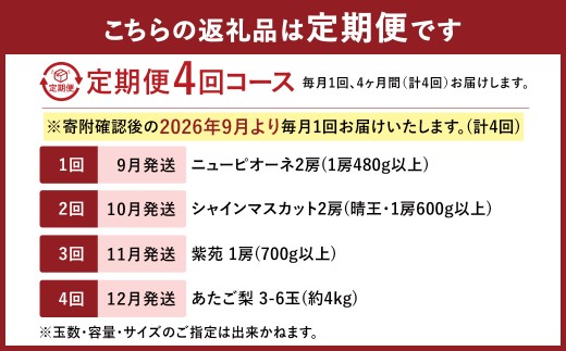 【4回定期便】 ニューピオーネ 晴王 紫苑 あたご梨 【2026年9月上旬より順次発送開始】 梨 葡萄 ブドウ ぶどう フルーツ 果物 ギフト 国産 岡山県産