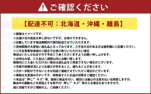 シャインマスカット 晴王 1房（800g以上） 化粧箱入り 【2026年8月下旬～11月上旬迄発送予定】 ぶどう ブドウ 葡萄 マスカット 種なし 果物 くだもの フルーツ 冷蔵 国産