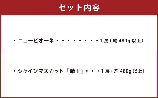岡山県産 ぶどう詰合 ニューピオーネ 1房・シャインマスカット 晴王 1房 （各480g以上） 化粧箱入り 【2026年8月下旬～10月上旬迄発送予定】 果物 くだもの フルーツ ぶどう ブドウ 葡萄 マスカット 詰め合わせ 詰合せ 岡山 おかやま 国産 冷蔵