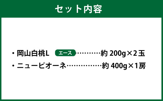 岡山県産 岡山白桃 エース Lサイズ 約200g×2玉・ニューピオーネ 約400g×1房 詰合せ 【2026年7月上旬～8月下旬発送予定】 白桃 桃 もも モモ ピオーネ ぶどう 葡萄 ブドウ セット