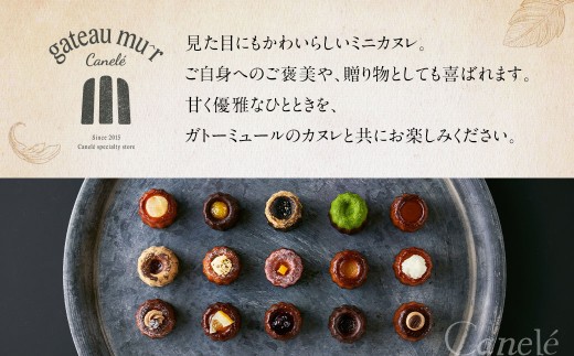 ガトーミュール サマー アイスカヌレ 24個入 【2026年5月下旬～8月上旬迄発送予定】スイーツ お菓子 おやつ ミニ カヌレ 洋菓子 ギフト ショコラオランジュ 夏いちご マンゴー 塩キャラメル バニーユ ピーチパッション 抹茶 ピニャコラーダ バナーヌ グアテマラ カシス シトロン ミラベル 冷凍