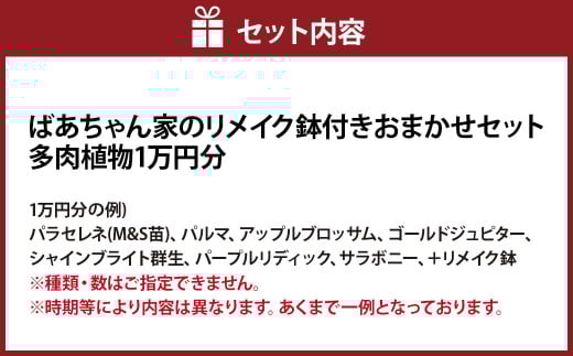 ばあちゃん家のリメイク鉢付きおまかせセット 1万円分