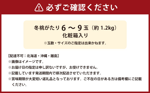 冬桃がたり 6～9玉（合計約1.2kg） 化粧箱入り 【2026年11月下旬～12月下旬迄発送予定】 モモ もも 桃 フルーツ 果物 ギフト 国産 岡山県産
