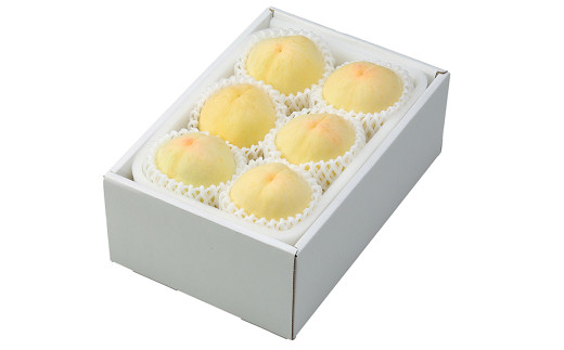 岡山 白桃 エース 3玉×約200g 計約600g 岡山県産 【2026年7月上旬～8月下旬迄発送予定】 フルーツ 果物 くだもの モモ 桃 もも 冷蔵 国産