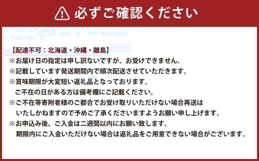 【4回定期便】 岡山県産 フルーツ定期便コース 計約6.8kg 【2025年9月上旬発送開始】 ニューピオーネ 瀬戸ジャイアンツ シャインマスカット 晴王 マスカット ぶどう 葡萄 紫苑 あたご 梨 なし フルーツ 果物 くだもの 岡山